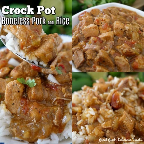 Crock Pot Boneless Pork and Rice is tasty, tender and easy to make, loaded with pork loin and seasoned perfectly.