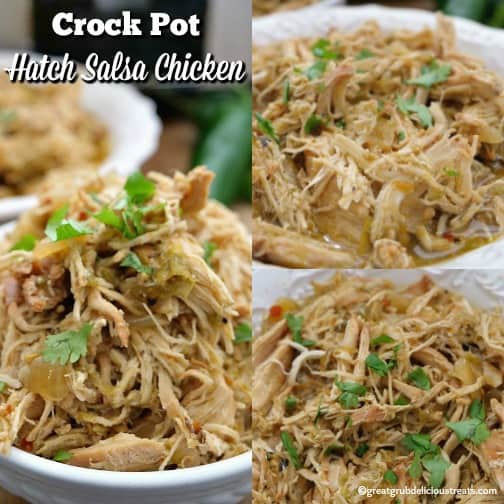 Crock Pot Hatch Salsa Chicken is tender shredded chicken cooked in a delicious Hatch chile salsa. Crock Pot Hatch Salsa Chicken