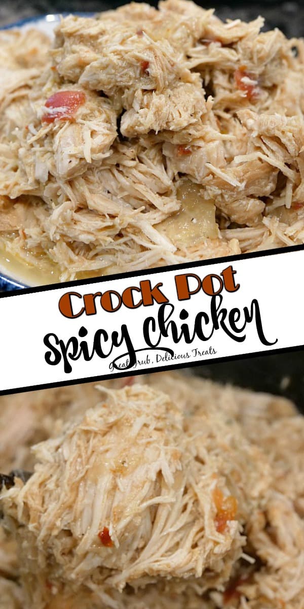Crock Pot Spicy Chicken is an easy chicken recipe made in the crock pot, loaded with delicious flavor and is the perfect recipe to use to make chicken flautas, chicken enchiladas and so much more.