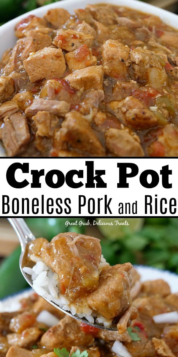 Crock Pot Boneless Pork and Rice is an easy crock pot meal, loaded with delicious pork and served over rice. Crock Pot Boneless Pork and Rice is an easy crock pot meal, loaded with delicious pork and served over rice.