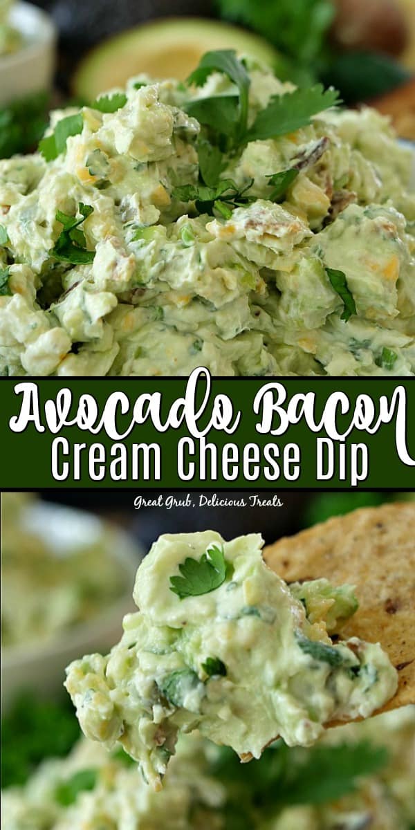 Avocado Bacon Cream Cheese Dip is the best avocado dip recipe that is so flavorful and delicious. #appetizerrecipes #avocadorecipes #delicious #dips #greatgrubdelicioustreats Avocado Bacon Cream Cheese Dip is the best avocado dip recipe that is so flavorful and delicious.