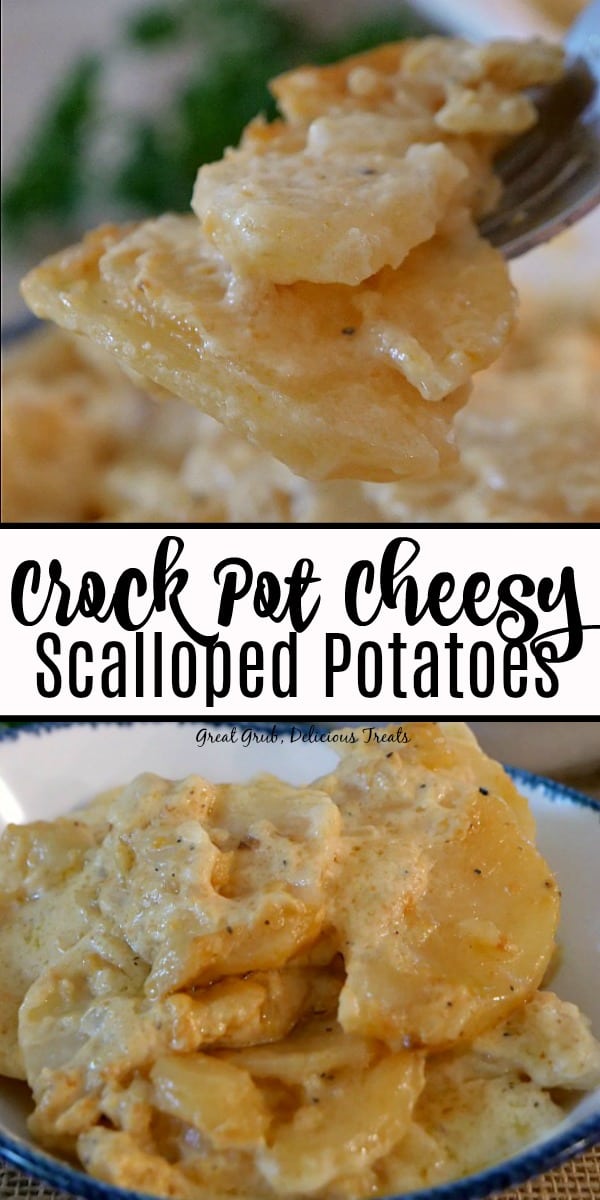 These Crock Pot Cheesy Scalloped Potatoes are loaded with cheese and are comfort food at it's best. #slowcooker #crockpotrecipes #potatoesrecipes #cheesy #delicious #greatgrubdelicioustreats Crock Pot Cheesy Scalloped Potatoes