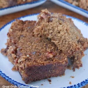 A round white plate with blue trim with two slices of apple bread on it.