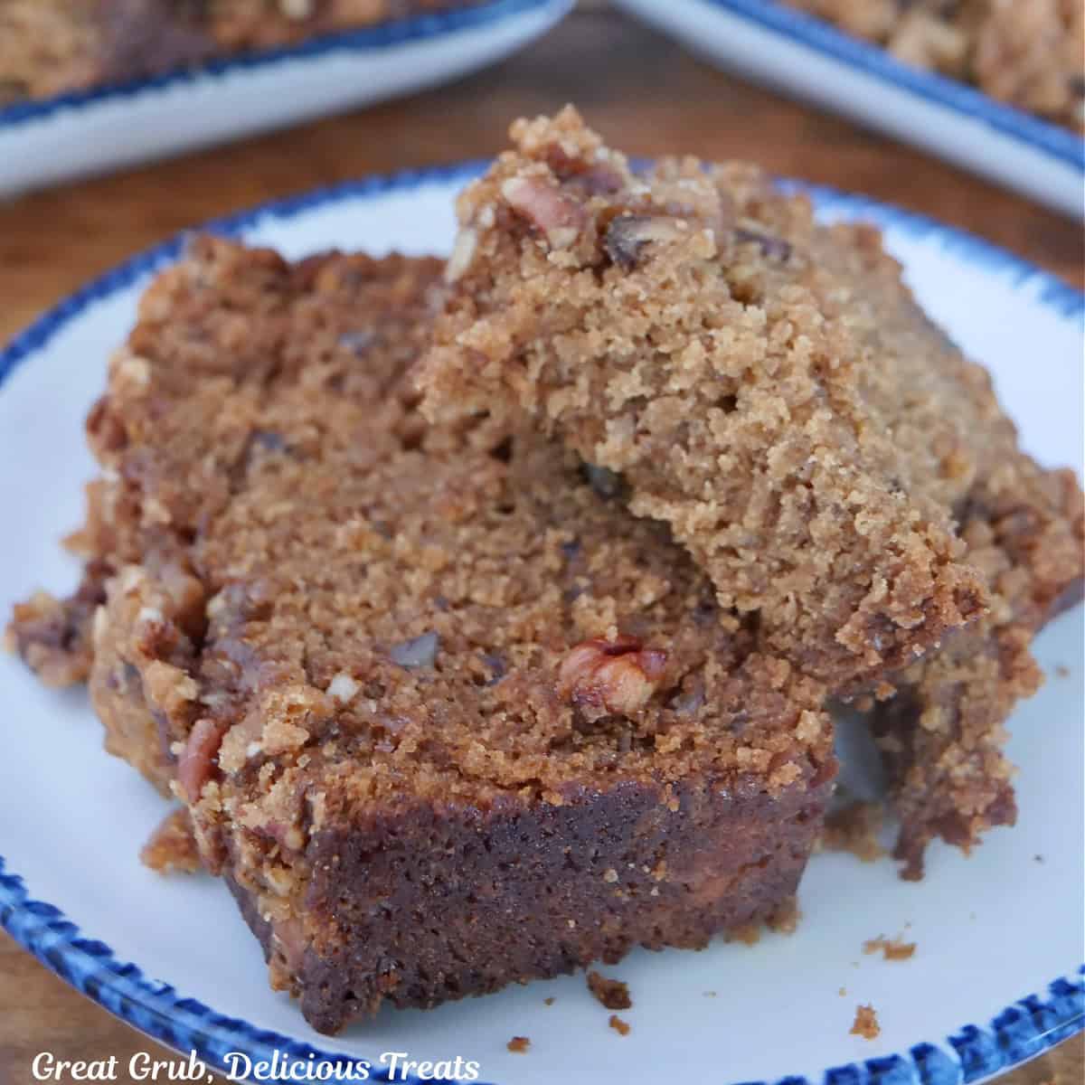A round white plate with blue trim with two slices of apple bread on it.