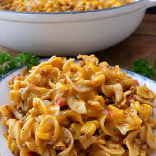 A white bowl with blue trim filled with a serving of beef noodle casserole.