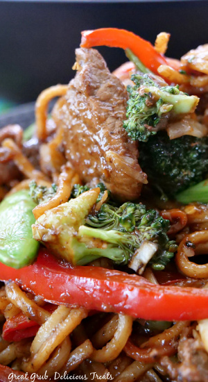 Beef Lo Mein is a delicious Chinese dish that you can make in your own home. Slender sliced beef with fresh vegetables and coated in a homemade sauce.