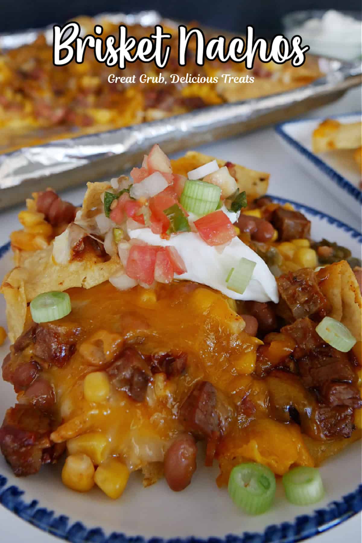 A round white bowl with blue trim with a hearty serving of beef brisket nachos in it.