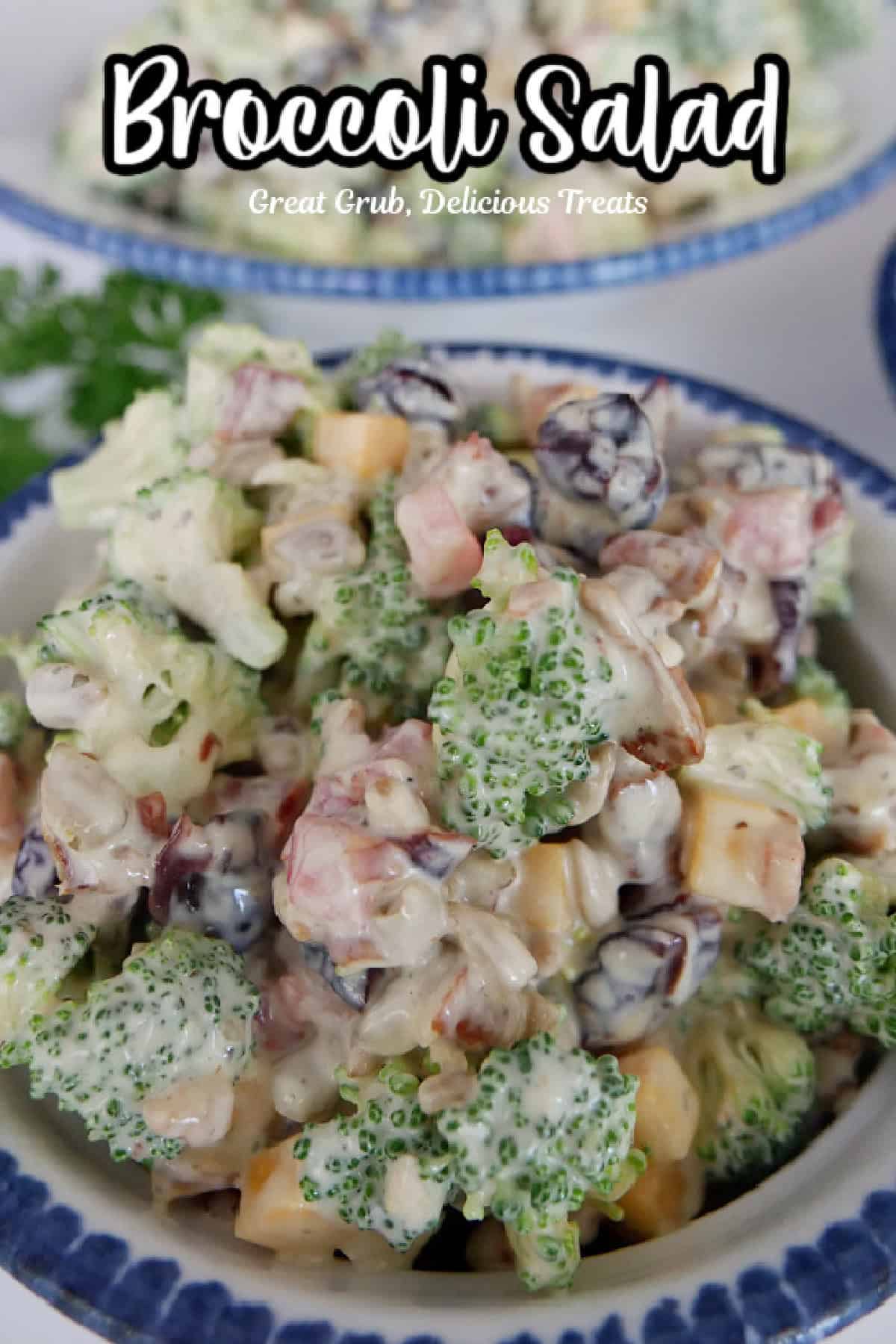 A serving of broccoli salad in a white round bowl with blue trim.