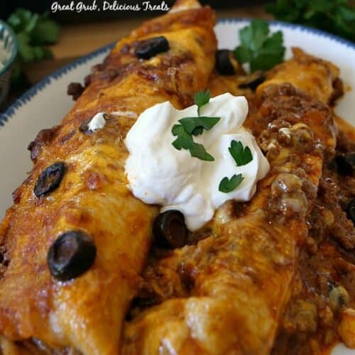 A white plate with blue trim with two enchiladas on it topped with sour cream and cilantro.
