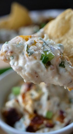 Cheesy Jalapeño Bacon Dip A tortilla chip with a scoop of cheesy jalapeno bacon dip on it.