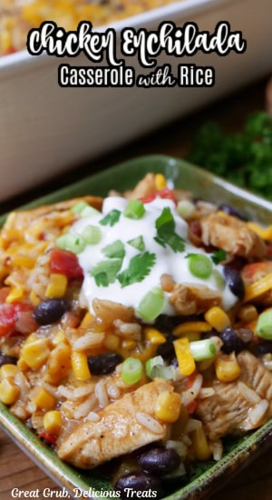 A serving of chicken enchilada casserole with rice.