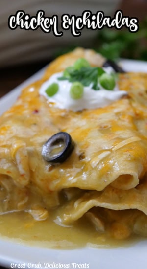 A white plate with three chicken enchiladas on it.