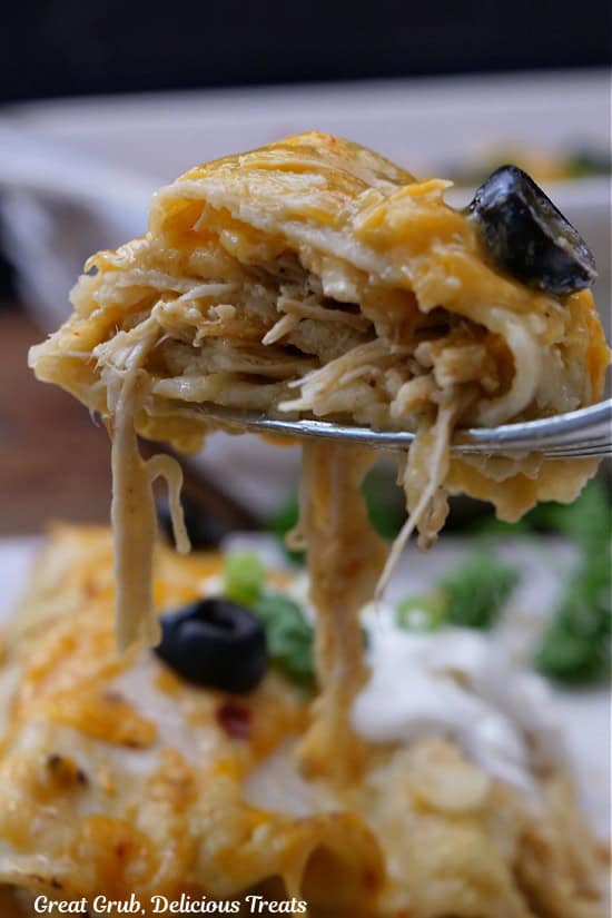 A bite of chicken enchiladas on a fork showing the shredded chicken, cheese, and black olives.