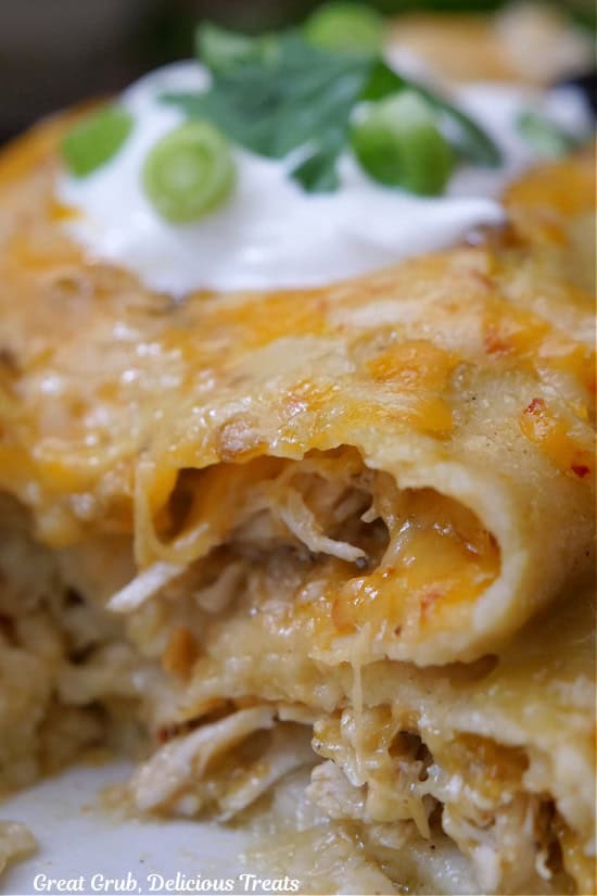 Two cheesy chicken enchiladas on a white plate.