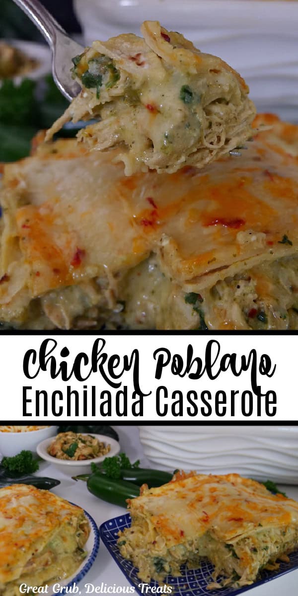 A double collage photo of chicken enchiladas with poblano sauce and the title of the recipe in the middle of the two pictures.