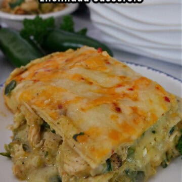 A serving of chicken enchilada on a white plate.