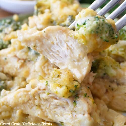 A bite of cheesy chicken on a fork held about a plate full.