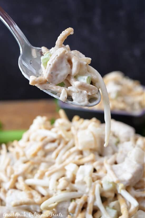 A close up of a spoonful of Chinese Chicken Salad.