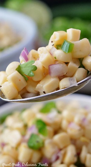 Chipotle Fresh Tomato Salsa is a recipe that takes no prep work and can be made in under 15 minutes. A spoonful of corn salsa on a large spoon.