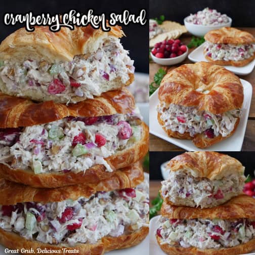 White square plates with cranberry chicken salad crescents.