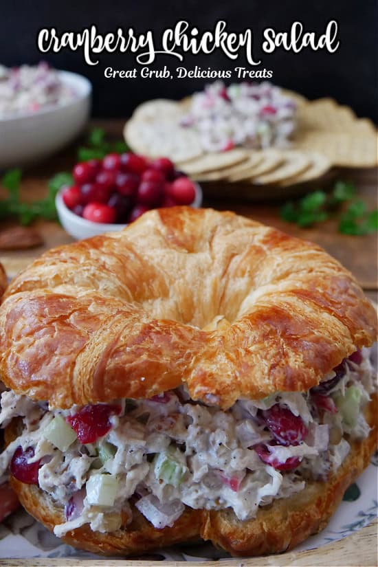A round crescent filled with cranberry chicken salad with crackers and a small white bowl filled with fresh cranberries in the background..