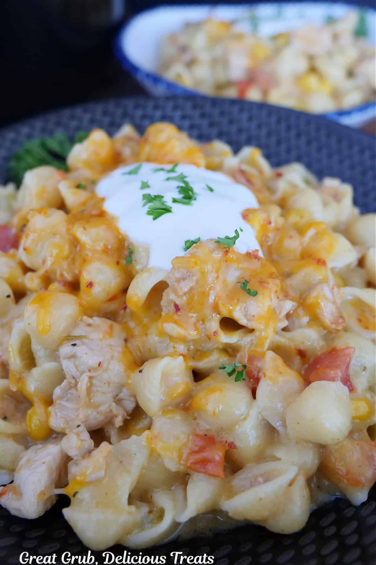 A black bowl with chicken, shell pasta, corn, tomatoes, cheese, in a creamy sauce.