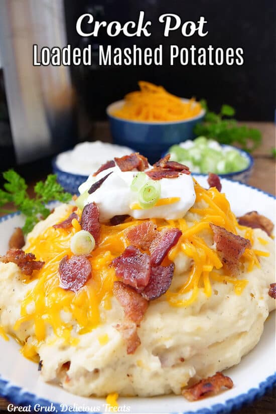 A white bowl with blue trim filled with a serving of loaded mashed potatoes.