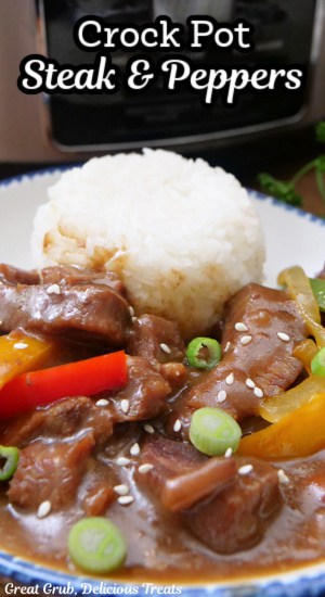 A white bowl with blue trim with a serving of steak and peppers with white rice.