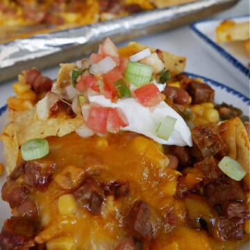 A round white plate with blue trim with a serving of brisket nachos on it and the title of the recipe at the top.