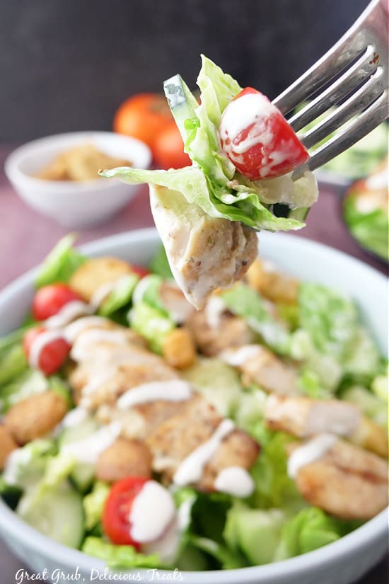 Grilled Chicken Salad is a delicious recipe to make for dinner or as a side dish. A bite of salad on a fork with a tomato, lettuce, cucumber, and chicken.