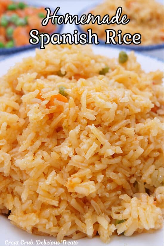 A close up of a white bowl filled with a serving of Spanish Rice.