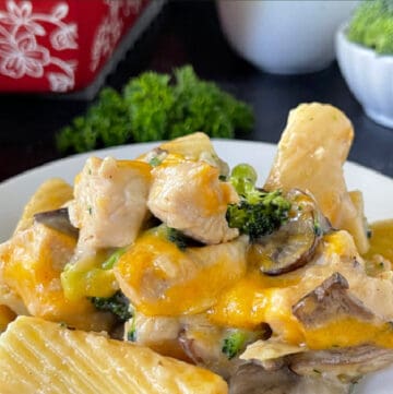 A white plate with chicken broccoli casserole on it.