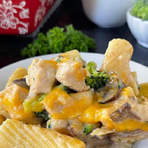 A white plate with chicken broccoli casserole on it.