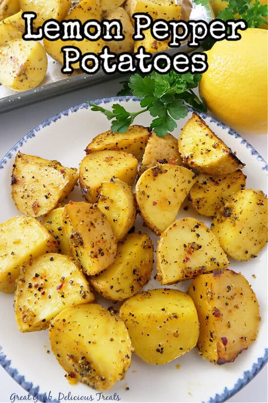 A white plate with blue trim with lemon pepper potatoes on it.