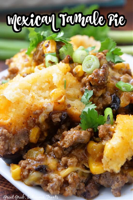 A white shallow bowl filled with a serving of Mexican tamale pie.
