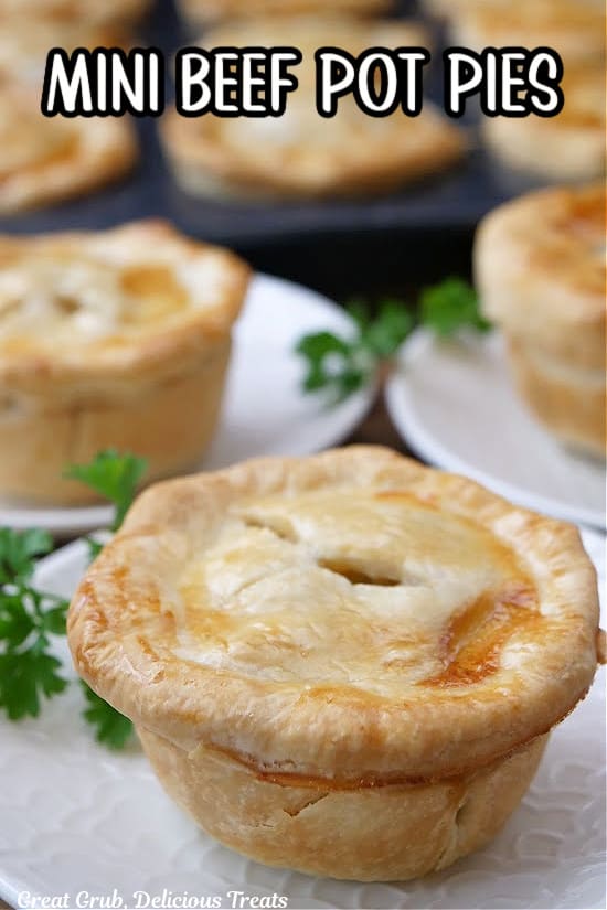 A close up of a mini pot pie on a small white round plate with more in the background.