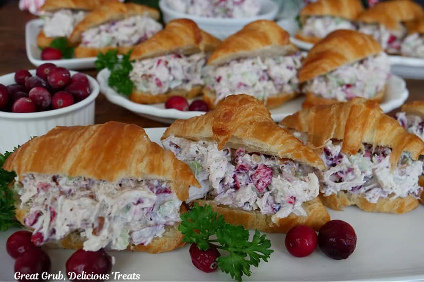 White plates with mini chicken salad croissants with cranberries.