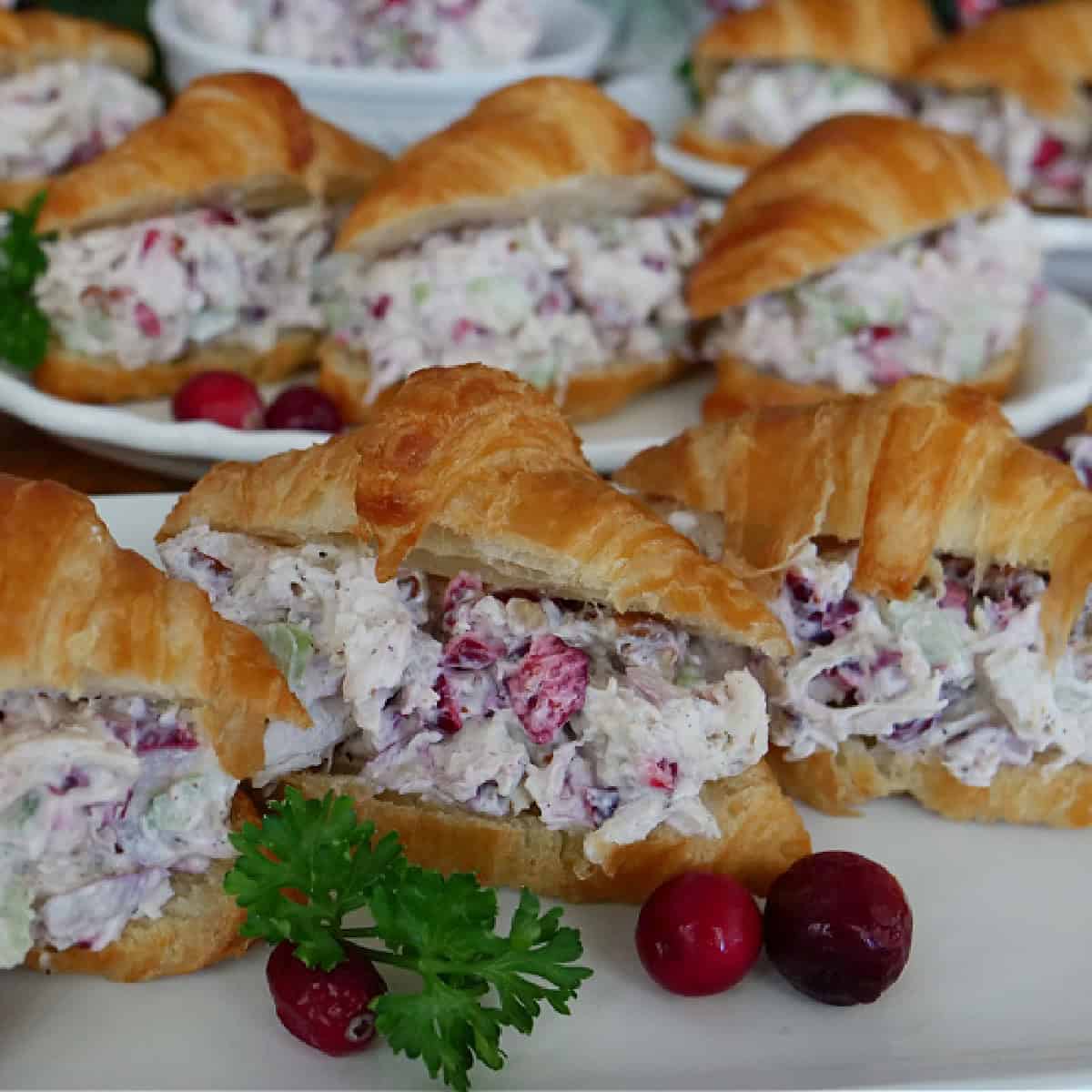A white surface with white plates filled with mini chicken salad croissants.