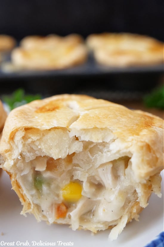 A single pot pie with a bite taken out of it.