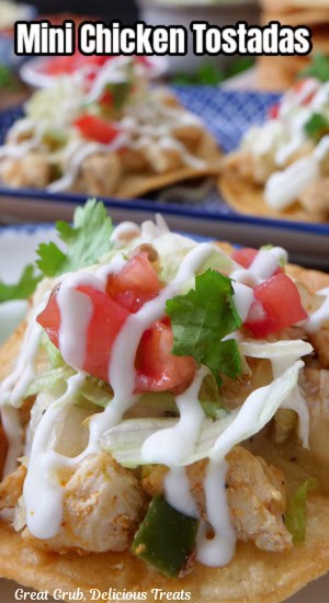 A mini chicken tostada on a white plate with the title of the recipe at the top of the pic.