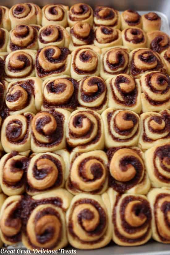 A baking sheet with about 50 mini cinnamon rolls on it after baking.