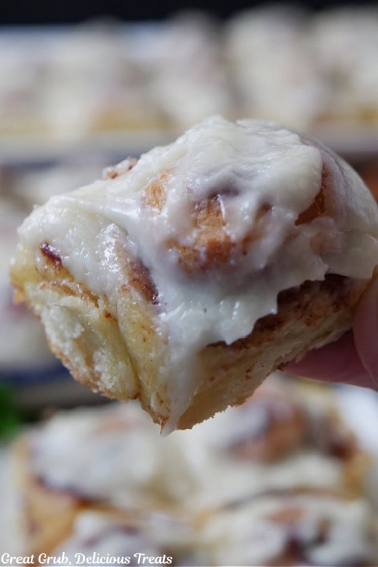 A mini cinnamon roll held up close to the camera lens.