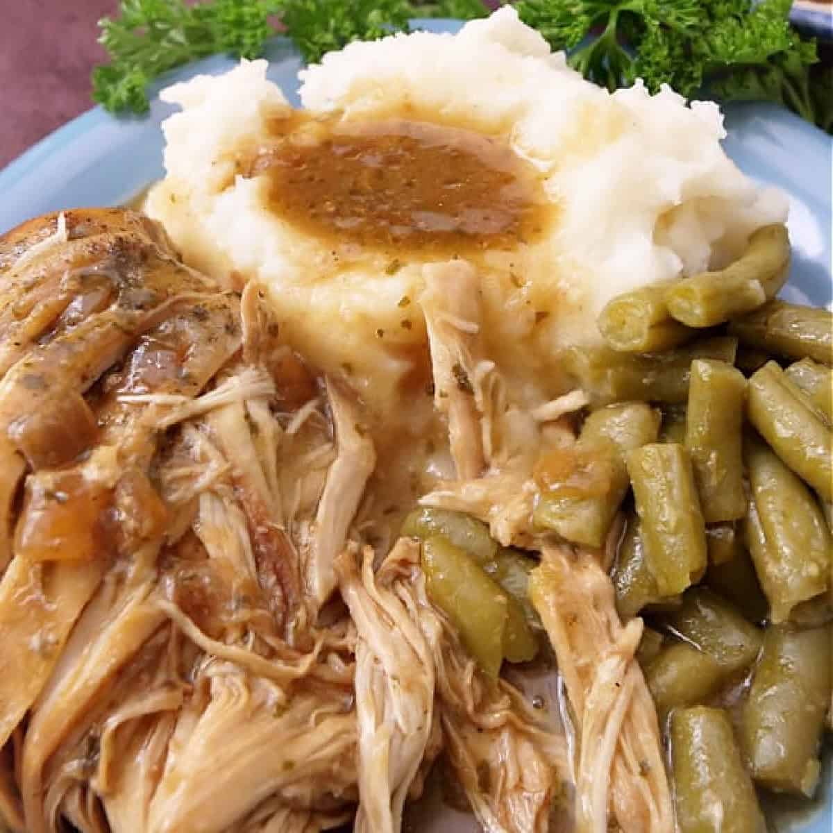 A round plate with shredded chicken, mashed potatoes, and green beans on it.