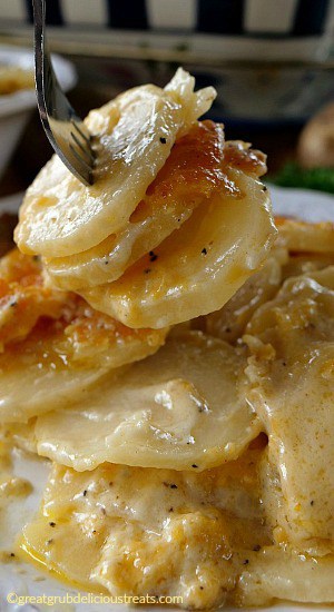 Cheesy Garlic Scalloped Potatoes - Incredibly cheesy with 3 different types of cheese, creamy and tender potatoes the whole family will love A close up photo of a serving of Cheesy Garlic Scalloped Potatoes with a fork digging in.