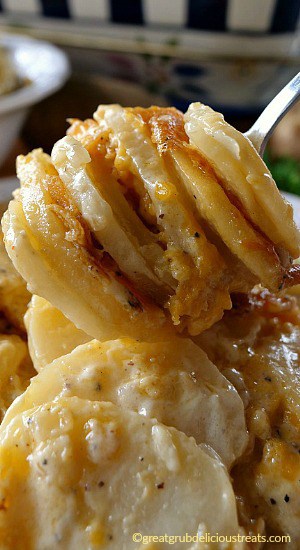 Cheesy Garlic Scalloped Potatoes - greatgrubdelicioustreats.com A close up photo of a fork with a bite of Cheesy Garlic Scalloped Potatoes on it.