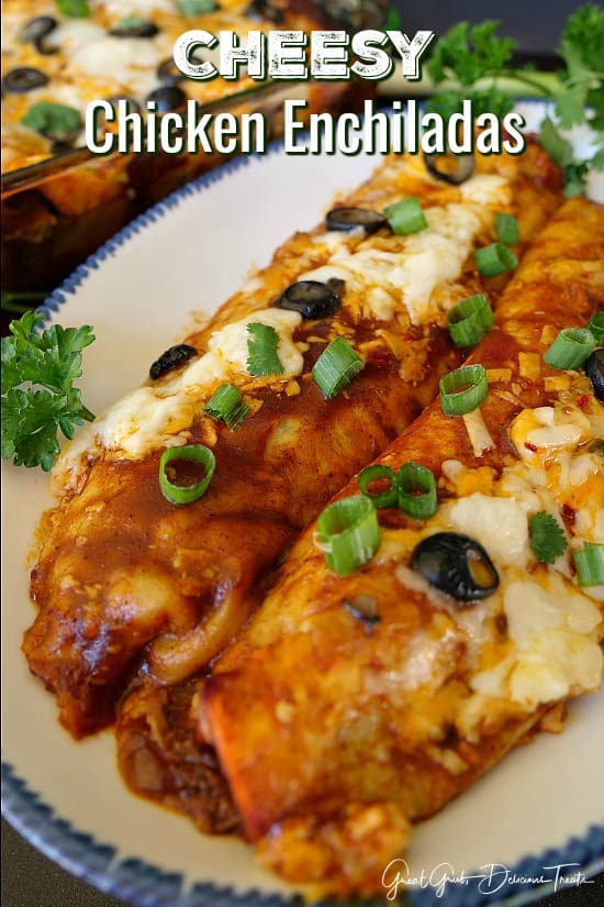 Cheesy Chicken Enchiladas