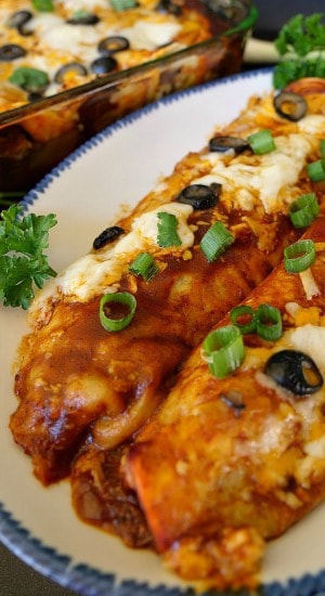 Cheesy Chicken Enchiladas are loaded with two types of cheese and deliciously flavored. #enchiladas #chickenenchiladas Cheesy Chicken Enchiladas