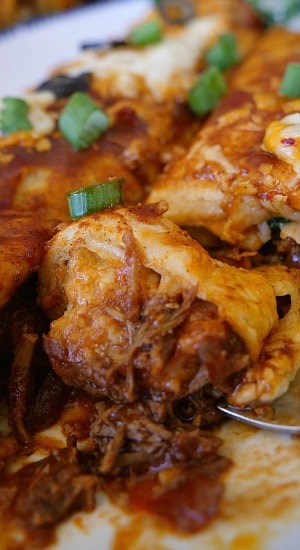 Cheesy Chicken Enchiladas are deliciously flavored and full of cheese. Cheesy Chicken Enchiladas