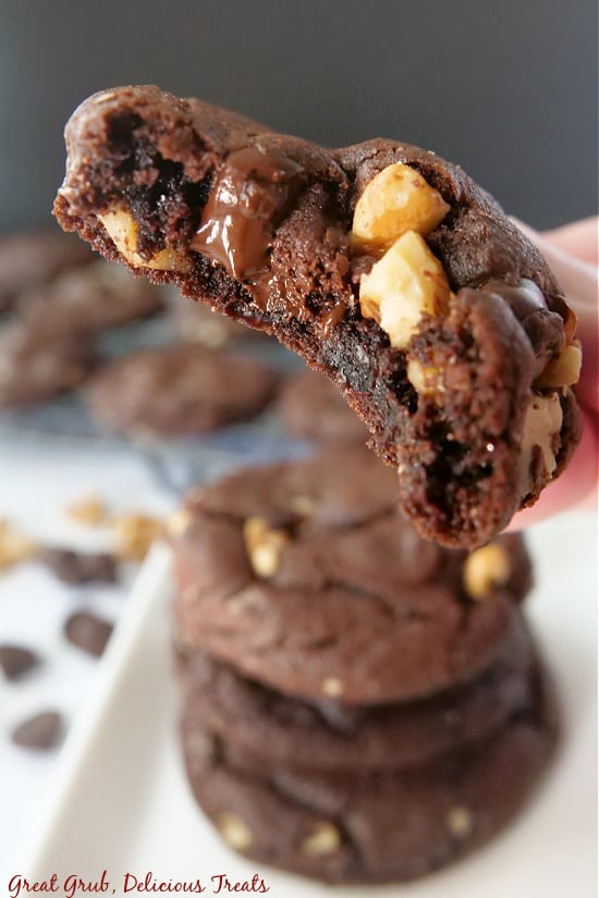A close up picture of a dark chocolate cookie with a bite take out of it.