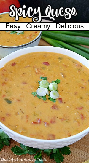 Spicy Queso is a super easy, delicious queso recipe that is perfect for game day, family gatherings, the big game and for an easy snack idea. 2 white bowls filled with spicy queso and the title of the recipe on top of the photo.